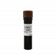 1ml vial of Redsafe nucleic acid staining solution 20,000x