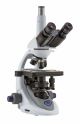 Trinocular microscope, 1000x