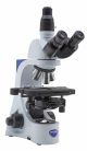 Trinocular phase contrast microscope, 1000x, IOS