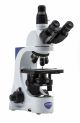 Trinocular brightfield microscope, 1000x