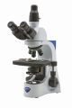 Trinocular brightfield microscope, 1000x, IOS