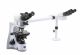 Trinocular discussion microscope, IOS