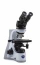 Binocular brightfield microscope, IOS with ERGO head