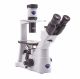 Inverted HBO fluorescence microscope, IOS