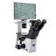 IM-300D Digital Inverted Brightfield and Phase Microscope