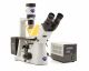 Inverted HBO fluorescence microscope, IOS (IVD)