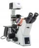 IM-5FLD IM-5FLD Inverted Fluorescence microscope