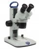 Binocular Stereomicroscope