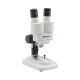 Binocular stereomicroscope