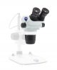 Binocular stereozoom microscope head