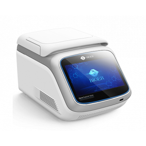 GeneExplorer PCR Thermal Cycler, 0.2 x 96 Block (Gradient)