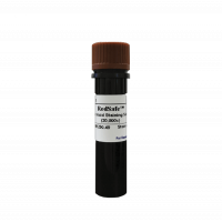 1ml vial of Redsafe nucleic acid staining solution 20,000x