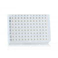 WS96 FroggaBio 96-well semi-skirted plate, white