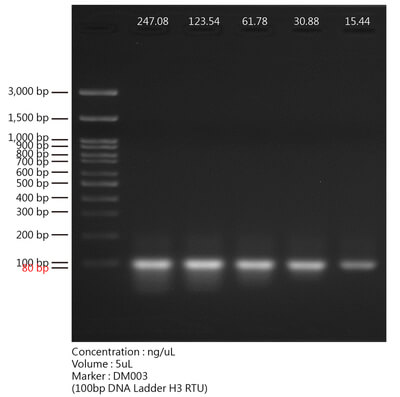 Visualization of ultra-sensitive DNA staining reagent on low bands